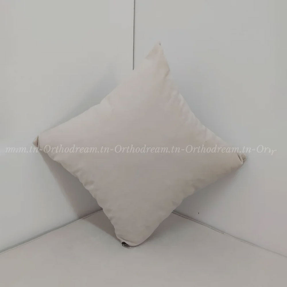 Matelas Mousse Avec 2 Coussins Hauteur 20 cm Tissu Anti Tâche Beige