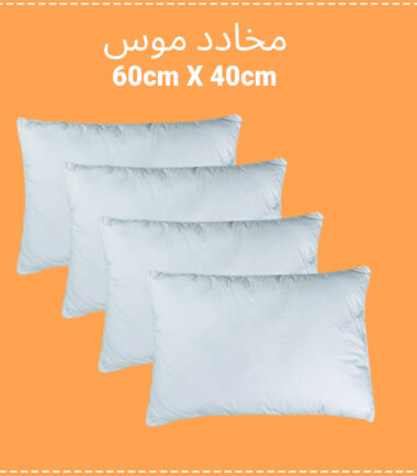 Oreillers En Mousse | 60x40cm
